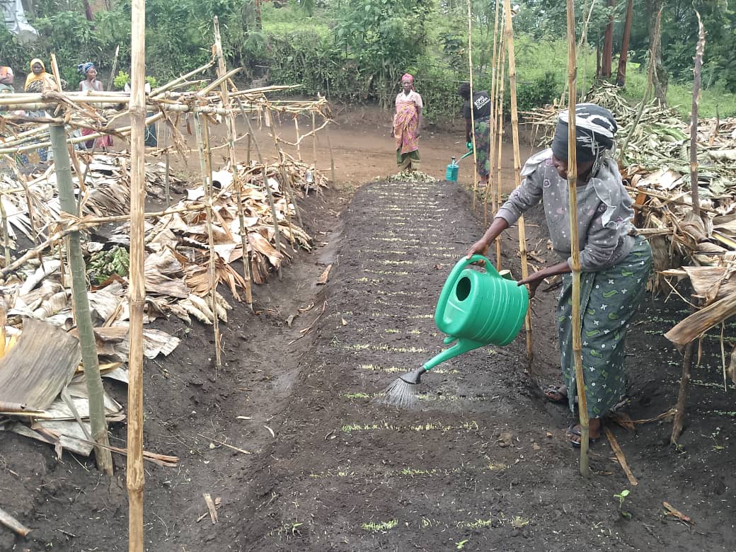 AGRICULTURE ET ENVIRONNEMENT SAIN PILLIER DE DÉVELOPPEMENT DURABLE pillier